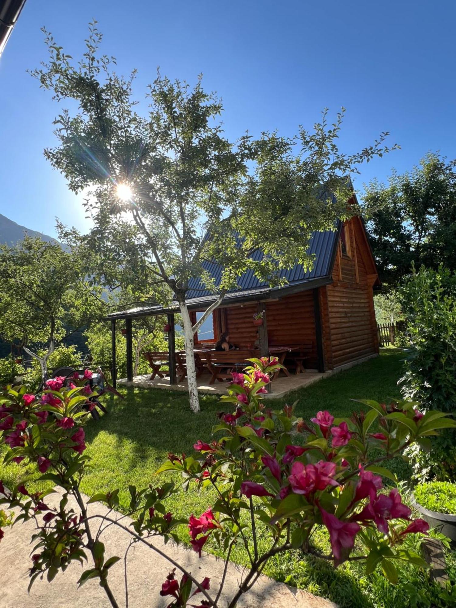 Guest House Kollata Vuthaj Extérieur photo